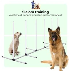 AYOO Agility Voor De Hond - Honden Training - Honden Behendigheid Set - Hondenparcours - Training Huisdieren - Honden Agility Set - Slalom - Horde - Draagzak - Agility Set - Oranje - Wit - GRATIS Speeltouw -Hondenproducten 1200x1200 1587