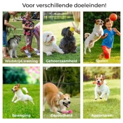 AYOO Agility Voor De Hond - Honden Training - Honden Behendigheid Set - Hondenparcours - Training Huisdieren - Honden Agility Set - Slalom - Horde - Draagzak - Agility Set - Oranje - Wit - GRATIS Speeltouw -Hondenproducten 1200x1200 1588