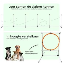 AYOO Agility Voor De Hond - Honden Training - Honden Behendigheid Set - Hondenparcours - Training Huisdieren - Honden Agility Set - Slalom - Horde - Draagzak - Agility Set - Oranje - Wit - GRATIS Speeltouw -Hondenproducten 1200x1200 1589