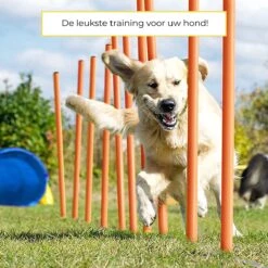 AYOO Agility Voor De Hond - Honden Agility Set - Honden Training - Honden Behendigheid Set - Honden Parcours - Training Huisdieren - Tunnel - Slalom - Horde - Draagzak - 21 Delig - GRATIS Speeltouw 11 AYOO Agility Voor De Hond - Honden Agility Set - Honden Training - Honden Behendigheid Set - Honden Parcours - Training Huisdieren - Tunnel - Slalom - Horde - Draagzak - 21 Delig - GRATIS Speeltouw -Hondenproducten 1200x1200 1594