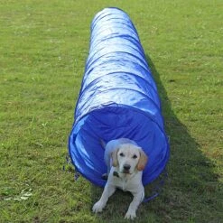 Agility Voor De Hond - Agility Set- Hondentunnel 300 Cm- Slalom Set - Horde - Startveld - Honden Behendigheidsset - 16 Delig - Tunnel - Slalom - Horde - Agility Set Voor De Hond - Agility Set -Hondenproducten 1200x1200 1611