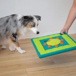 Nina Ottosson Interactieve Hondenpuzzel Vulbaar Met Snacks Voor De Slimste Honden - Outward Hound Multipuzzle 20 Nina Ottosson Interactieve Hondenpuzzel Vulbaar Met Snacks Voor De Slimste Honden - Outward Hound Multipuzzle -Hondenproducten 1200x1200 1615