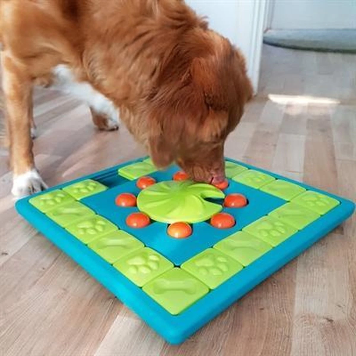 Nina Ottosson Interactieve Hondenpuzzel Vulbaar Met Snacks Voor De Slimste Honden - Outward Hound Multipuzzle 10 Nina Ottosson Interactieve Hondenpuzzel Vulbaar Met Snacks Voor De Slimste Honden - Outward Hound Multipuzzle - Afbeelding 8
