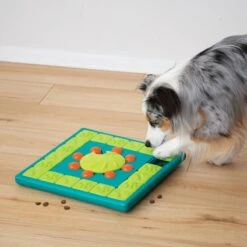 Nina Ottosson Interactieve Hondenpuzzel Vulbaar Met Snacks Voor De Slimste Honden - Outward Hound Multipuzzle 24 Nina Ottosson Interactieve Hondenpuzzel Vulbaar Met Snacks Voor De Slimste Honden - Outward Hound Multipuzzle -Hondenproducten 1200x1200 1618