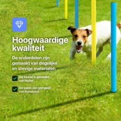 Tavaro Agility Voor De Hond - Honden Training - Hondentunnel - Springhoepel - Horde - Slalom - Honden Behendigheid Trainingsset -Hondenproducten 1200x1200 1624