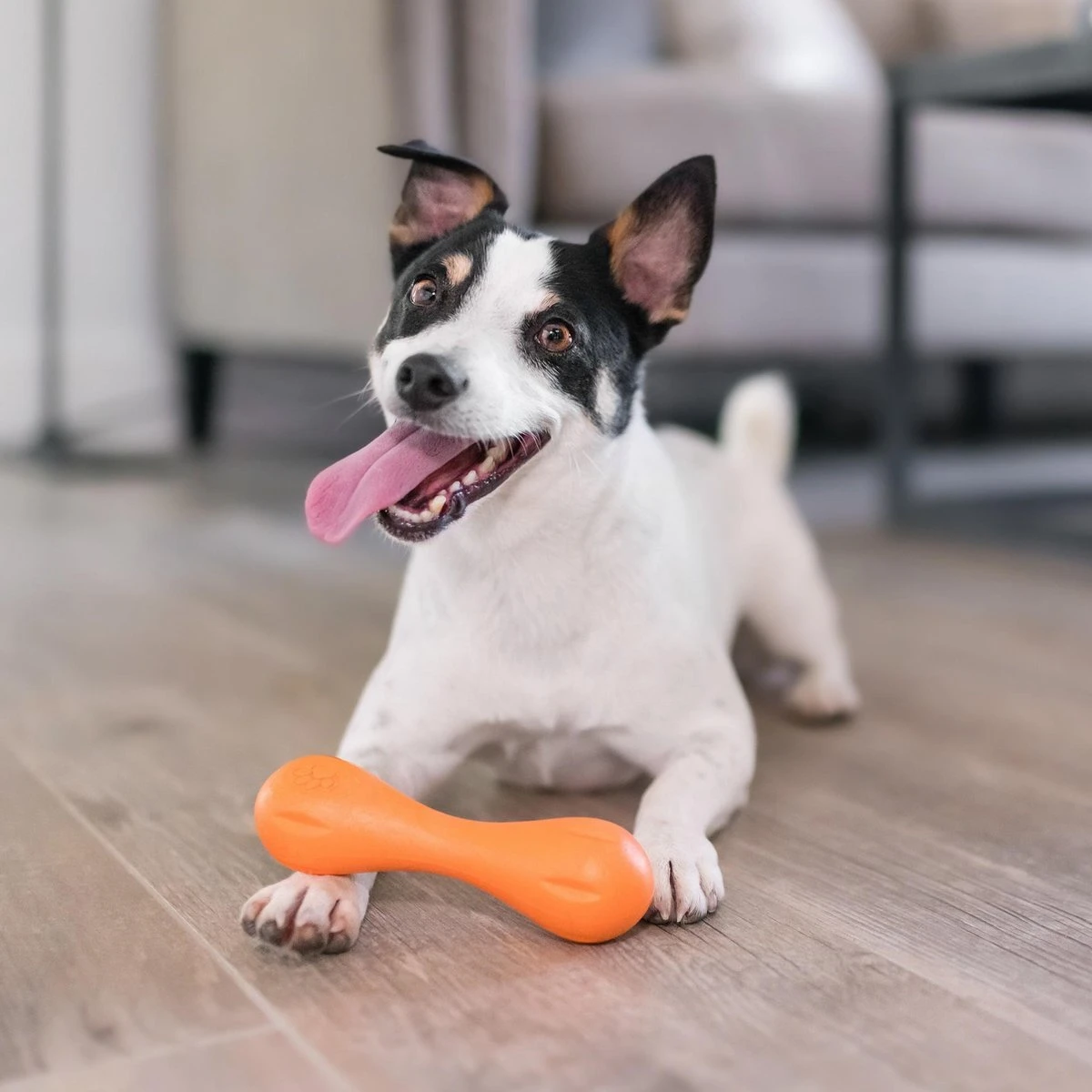 West Paw Zogoflex Hurley - Super Sterk Kauwbot Voor Honden - Kleur: Blauw, Maat: Large 8 West Paw Zogoflex Hurley - Super Sterk Kauwbot Voor Honden - Kleur: Blauw, Maat: Large - Afbeelding 6