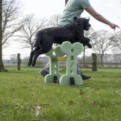 Dog Agility Set Indoor En Outdoor - Honden Trainingsset - -Hondenproducten 1200x1200 1640