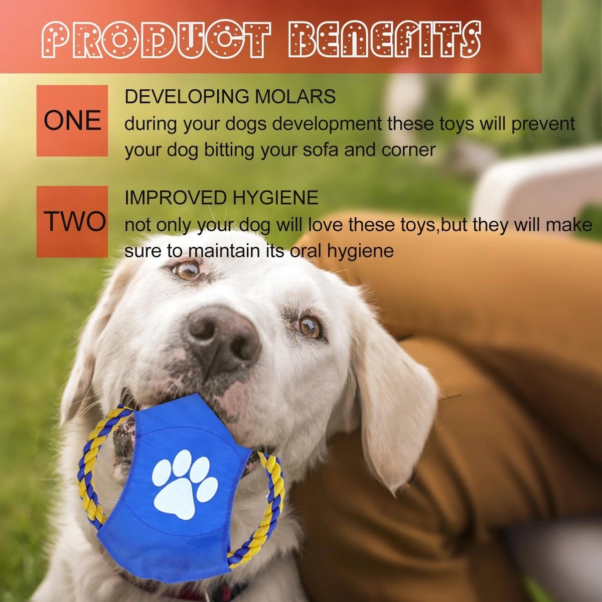 Nobleza Honden Speelgoed Set PLJ - 10 Stuks 9 Nobleza Honden Speelgoed Set PLJ - 10 Stuks - Afbeelding 7