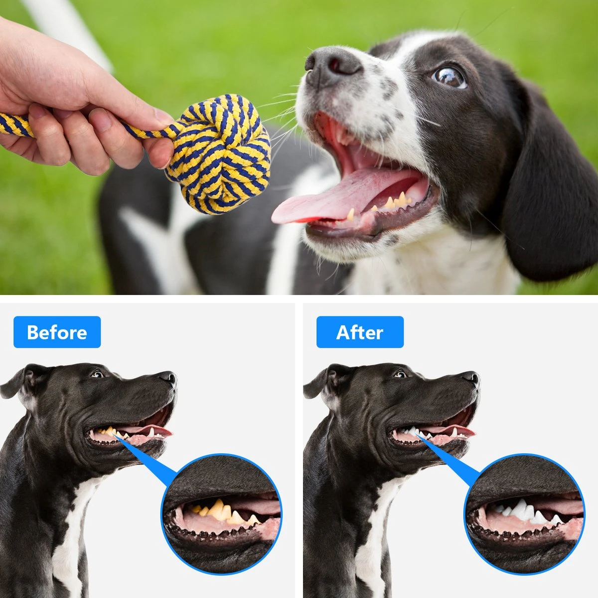 Nobleza Honden Speelgoed Set PLJ - 10 Stuks 11 Nobleza Honden Speelgoed Set PLJ - 10 Stuks - Afbeelding 9