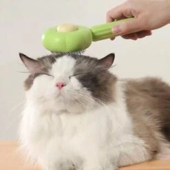 QT Petshop - Haarverwijderaar Voor Huisdieren - Groene Kattenborstel - Furminator Hondenborstel - Anti-Klit - Diervriendelijk - Dierenverzorging -Hondenproducten 1200x1200 167