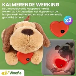 Woefie Hondenknuffel Met Hartslag - Puppyknuffel - Pluche- Puppy Speelgoed- Snuggle Puppy Xl- Knuffel Hond- Baby Knuffel- Knuffel Met Hartslag - Moederhond - Gratis E-Boek - Gratis Schroevendraaier 13 Woefie Hondenknuffel Met Hartslag - Puppyknuffel - Pluche- Puppy Speelgoed- Snuggle Puppy Xl- Knuffel Hond- Baby Knuffel- Knuffel Met Hartslag - Moederhond - Gratis E-Boek - Gratis Schroevendraaier -Hondenproducten 1200x1200 1674