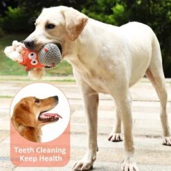 Merkloos Hondenknuffel - Interactief Piepspeelgoed Voor Honden - Teddy - Stoer Hondenkauwspeelgoed - Met Katoenen Materiaal En Gekreukt Papier - Hondenspeelgoed Voor Grote En Kleine Honden 18 Merkloos Hondenknuffel - Interactief Piepspeelgoed Voor Honden - Teddy - Stoer Hondenkauwspeelgoed - Met Katoenen Materiaal En Gekreukt Papier - Hondenspeelgoed Voor Grote En Kleine Honden -Hondenproducten 1200x1200 1687