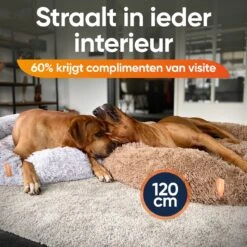 Happysnoots Hondenmand Met Rits - 80cm - Hondenbed - Donut Dog Bed - Fluffy - Grijs - Wasbaar -Hondenproducten 1200x1200 1753