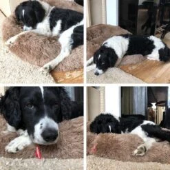 Snoozle Donut Hondenmand - Zacht En Luxe Hondenkussen - Wasbaar - Fluffy - Hondenmanden - 80cm - Creme Bruin -Hondenproducten 1200x1200 1764