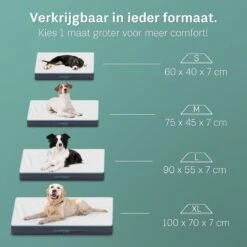 Hondenproducten -Hondenproducten 1200x1200 1768