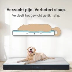 CozySense® - Orthopedisch Hondenkussen - Hondenkussen 90 X 55 Cm - Ook Geschikt Als Benchkussen & Hondenbed - Hondenkussen Bank - Traagschuim - Waterdicht - Wasbare Hoes - Maat L 12 CozySense® - Orthopedisch Hondenkussen - Hondenkussen 90 X 55 Cm - Ook Geschikt Als Benchkussen & Hondenbed - Hondenkussen Bank - Traagschuim - Waterdicht - Wasbare Hoes - Maat L -Hondenproducten 1200x1200 1769