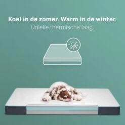 CozySense® - Orthopedisch Hondenkussen - Hondenkussen 90 X 55 Cm - Ook Geschikt Als Benchkussen & Hondenbed - Hondenkussen Bank - Traagschuim - Waterdicht - Wasbare Hoes - Maat L 13 CozySense® - Orthopedisch Hondenkussen - Hondenkussen 90 X 55 Cm - Ook Geschikt Als Benchkussen & Hondenbed - Hondenkussen Bank - Traagschuim - Waterdicht - Wasbare Hoes - Maat L -Hondenproducten 1200x1200 1770