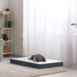 CozySense® - Orthopedisch Hondenkussen - Hondenkussen 90 X 55 Cm - Ook Geschikt Als Benchkussen & Hondenbed - Hondenkussen Bank - Traagschuim - Waterdicht - Wasbare Hoes - Maat L 15 CozySense® - Orthopedisch Hondenkussen - Hondenkussen 90 X 55 Cm - Ook Geschikt Als Benchkussen & Hondenbed - Hondenkussen Bank - Traagschuim - Waterdicht - Wasbare Hoes - Maat L -Hondenproducten 1200x1200 1772