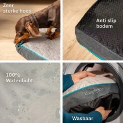 CozySense® - Orthopedisch Hondenkussen - Hondenkussen 90 X 55 Cm - Ook Geschikt Als Benchkussen & Hondenbed - Hondenkussen Bank - Traagschuim - Waterdicht - Wasbare Hoes - Maat L 16 CozySense® - Orthopedisch Hondenkussen - Hondenkussen 90 X 55 Cm - Ook Geschikt Als Benchkussen & Hondenbed - Hondenkussen Bank - Traagschuim - Waterdicht - Wasbare Hoes - Maat L -Hondenproducten 1200x1200 1773