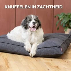 Snoozle Orthopedische Hondenmand - Zacht En Luxe Hondenkussen - Hondenbed - Wasbaar - Hondenmanden - 100 X 70 Cm - Groen -Hondenproducten 1200x1200 1777