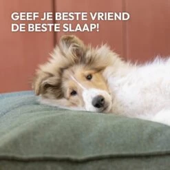 Snoozle Orthopedische Hondenmand - Zacht En Luxe Hondenkussen - Hondenbed - Wasbaar - Hondenmanden - 100 X 70 Cm - Groen -Hondenproducten 1200x1200 1778