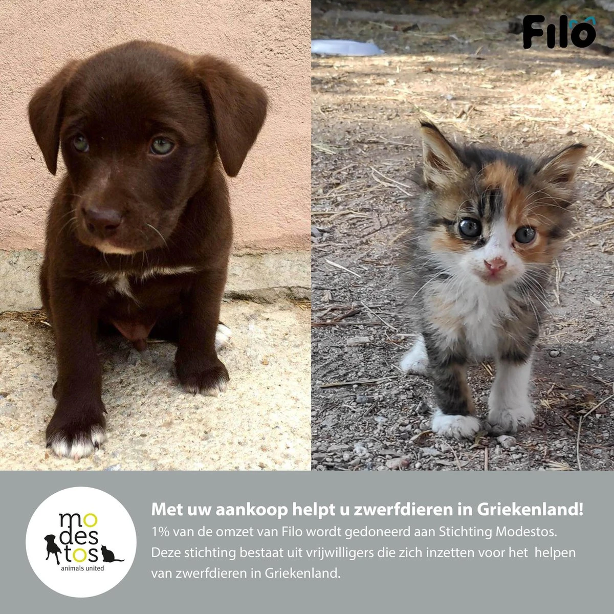 Filo Elastische Hondenriem Groot - Hardlopen En Wandelen - Hardloopriem Hond Handsfree Met Heuptasje - Looplijn Met Heupriem - Canicross Gordel Honden - Riemen - Heupgordel - Leiband 11 Filo Elastische Hondenriem Groot - Hardlopen En Wandelen - Hardloopriem Hond Handsfree Met Heuptasje - Looplijn Met Heupriem - Canicross Gordel Honden - Riemen - Heupgordel - Leiband - Afbeelding 9