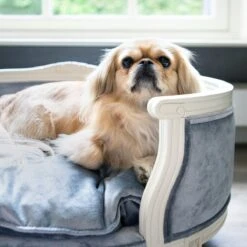 Lord Lou - George Roze Velvet S - Luxe Hondenmand - Luxe Kattenmand - 49x40x31 -Hondenproducten 1200x1200 1801