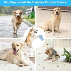 Merkloos Hondenpoot Reiniger - Hondenborstel - Borstel Hond / Kat - Hondenpoten Reiniger - Huisdier Poot Wassen - Borstel - Hondenverzorging - Verzorging Hond - Honden Wassen - Schoonmaak Borstel - Kattenborstel 13 Merkloos Hondenpoot Reiniger - Hondenborstel - Borstel Hond / Kat - Hondenpoten Reiniger - Huisdier Poot Wassen - Borstel - Hondenverzorging - Verzorging Hond - Honden Wassen - Schoonmaak Borstel - Kattenborstel -Hondenproducten 1200x1200 185