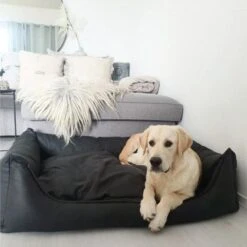 Maxxnobel Orthopedisch Hondenkussen - Lederlook/Teddy - M - 100 X 80 Cm - Zwart -Hondenproducten 1200x1200 1893