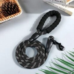 Comfortabele Hondenriem Met Gevoerd Handvat – Stevige Nylon Hondenlijn – Riem Voor Honden -Hondenproducten 1200x1200 19