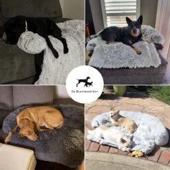 Premium Hondendeken Bank - Hondenkussens - Hondenmand Bank - Hondendeken Voor Op De Bank - Bankbeschermer - Donkergrijs -Hondenproducten 1200x1200 1900