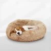 Peaceful Pooch S - Pluizig Hondenbed - 58cm Diameter - Opvouwbaar - In Verschillende Maten. Kattenbed - Wasbaar - Uitneembare Vulling - Ontspant Gewrichten En Spieren - Anti-slip Noppenbodem 1 Peaceful Pooch S - Pluizig Hondenbed - 58cm Diameter - Opvouwbaar - In Verschillende Maten. Kattenbed - Wasbaar - Uitneembare Vulling - Ontspant Gewrichten En Spieren - Anti-slip Noppenbodem -Hondenproducten 1200x1200 1907