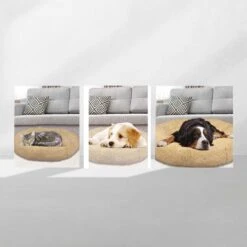 Peaceful Pooch S - Pluizig Hondenbed - 58cm Diameter - Opvouwbaar - In Verschillende Maten. Kattenbed - Wasbaar - Uitneembare Vulling - Ontspant Gewrichten En Spieren - Anti-slip Noppenbodem -Hondenproducten 1200x1200 1908