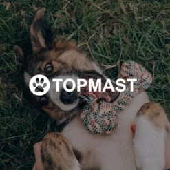 Topmast Waterproof Benchkussen - Nylon - Zwart - 90 X 60 Cm - Benchmat - Benchmatras - Waterafstotend - Hondenkussen -Hondenproducten 1200x1200 1935