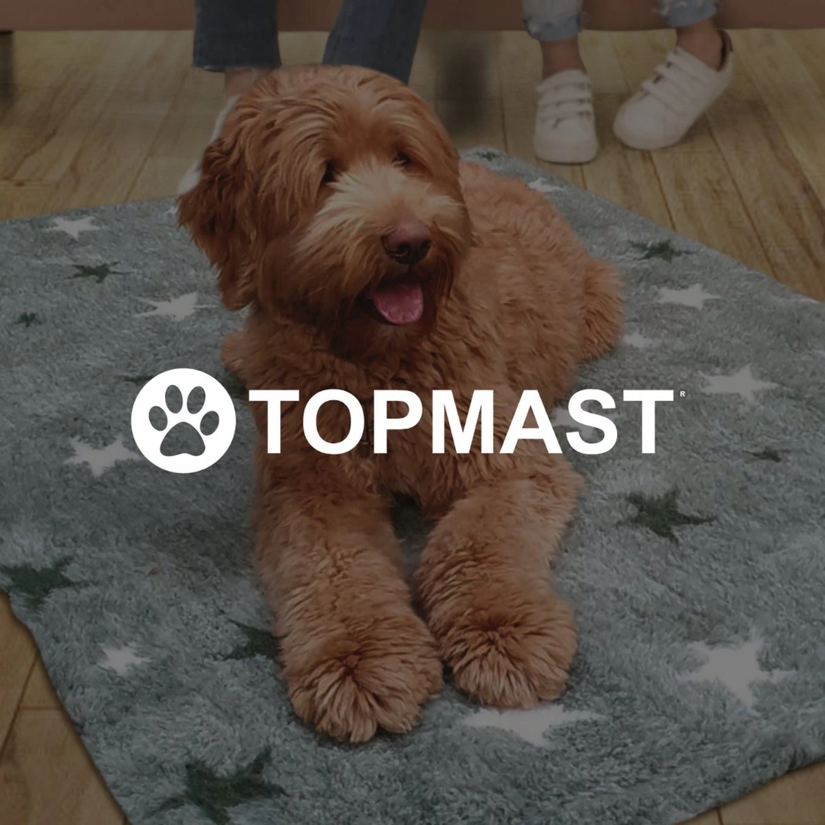 Vetbed Effen Lichtbruin - Antislip Hondenmat - 100 X 75 Cm - Benchmat - Hondenkleed - Voor Honden - Machine Wasbaar 4 Vetbed Effen Lichtbruin - Antislip Hondenmat - 100 X 75 Cm - Benchmat - Hondenkleed - Voor Honden - Machine Wasbaar - Afbeelding 2