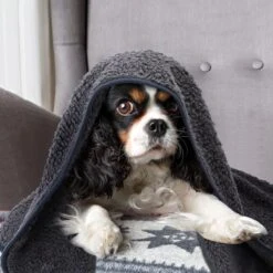 Nobleza 40UWK Hondendeken - Dierenmat - Benchkleed - 120x100cm - Grijs -Hondenproducten 1200x1200 1957