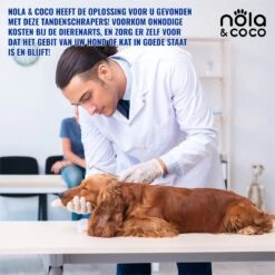 Nola & Coco® Tandsteen Verwijderaar Set Inclusief Bewaardoosje - Tandenkrabber - Set Van Twee - Hond - Kat - Tandenborstel - Tandplak Verwijderen - Tandenstoker - Honden Tanden Schoonmaken - Tandenhaakje - Gebitsreiniging -Hondenproducten 1200x1200 2013