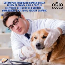 Nola & Coco® Tandsteen Verwijderaar Set Inclusief Bewaardoosje - Tandenkrabber - Set Van Twee - Hond - Kat - Tandenborstel - Tandplak Verwijderen - Tandenstoker - Honden Tanden Schoonmaken - Tandenhaakje - Gebitsreiniging -Hondenproducten 1200x1200 2014