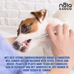 Nola & Coco® Tandsteen Verwijderaar Set Inclusief Bewaardoosje - Tandenkrabber - Set Van Twee - Hond - Kat - Tandenborstel - Tandplak Verwijderen - Tandenstoker - Honden Tanden Schoonmaken - Tandenhaakje - Gebitsreiniging -Hondenproducten 1200x1200 2016