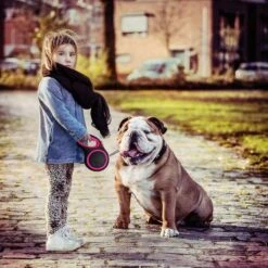 IGOODS - Uitlaatriem - Honden Riem - Katten Riem - Uitlaatriem Voor Dieren - Rollijn - 5 Meter Lang Roze -Hondenproducten 1200x1200 21