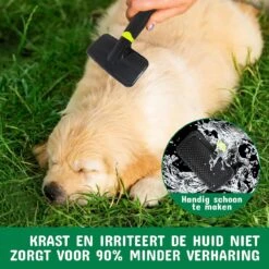 Mister Mill Professionele Set Slicker Honden Kattenborstel Plus Nagelknipper Plus Ondervacht Kam 27 Mister Mill Professionele Set Slicker Honden Kattenborstel Plus Nagelknipper Plus Ondervacht Kam -Hondenproducten 1200x1200 280
