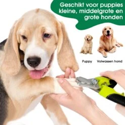 Mister Mill Professionele Set Slicker Honden Kattenborstel Plus Nagelknipper Plus Ondervacht Kam 38 Mister Mill Professionele Set Slicker Honden Kattenborstel Plus Nagelknipper Plus Ondervacht Kam -Hondenproducten 1200x1200 287