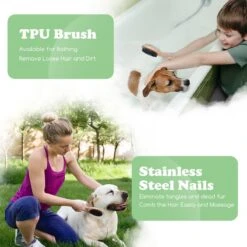 Merkloos Nobleza Dierenborstel - Hondenborstel - Kattenborstel - Tweezijdig - Dubbelzijdig - Hout - Maat L 13 Merkloos Nobleza Dierenborstel - Hondenborstel - Kattenborstel - Tweezijdig - Dubbelzijdig - Hout - Maat L -Hondenproducten 1200x1200 288