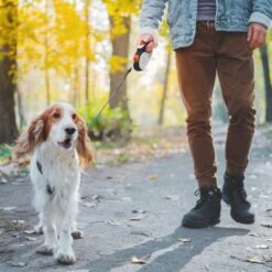 Hondenriem Tape - 5 Meter - Medium - Voor Honden <25 Kg - Zwart-Wit 16 Hondenriem Tape - 5 Meter - Medium - Voor Honden <25 Kg - Zwart-Wit -Hondenproducten 1200x1200 29