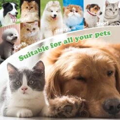 Merkloos Nobleza Dierenborstel - Hondenborstel - Kattenborstel - Tweezijdig - Dubbelzijdig - Hout - Maat L 16 Merkloos Nobleza Dierenborstel - Hondenborstel - Kattenborstel - Tweezijdig - Dubbelzijdig - Hout - Maat L -Hondenproducten 1200x1200 290