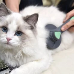 Pakeway Kattenborstel – Hondenborstel – Haarverwijderaar Voor Huisdieren – Kattenkam - Kortharig - Langharig - Inclusief Ebook! -Hondenproducten 1200x1200 304