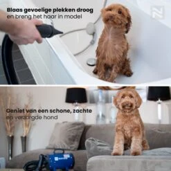 Nuvoo Professionele Hondenföhn / Waterblazer / Hondenborstel Met 3 Opzetstukken - Verstelbare Vermogen Tot 2200W - Warme / Koude Stand - Rood -Hondenproducten 1200x1200 325