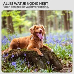 Krachtige Hondenföhn/ Waterblazer Met Draaiknop Om Overtollig Water En Stof Snel Uit De Vacht Te Blazen | Verstelbare Vermogen Standen (500W Tot 2200W) En Verstelbare Temperatuur - Type B Oranje 14 Krachtige Hondenföhn/ Waterblazer Met Draaiknop Om Overtollig Water En Stof Snel Uit De Vacht Te Blazen | Verstelbare Vermogen Standen (500W Tot 2200W) En Verstelbare Temperatuur - Type B Oranje -Hondenproducten 1200x1200 331