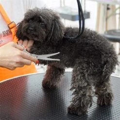 Merkloos Premium Gebogen Trimschaar Honden - Huisdier Trimmen - Hoofd, Poten Ogen & Oren - Kat & Hond Knippen - Veilige Schaar -Hondenproducten 1200x1200 337