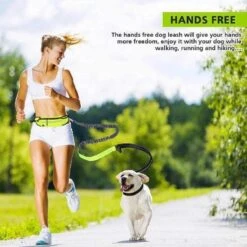 Hondenriem Hardloopriem Elastische Reflecterende Geschikt Voor Hardlopen - Handsfree Riem Met Opbergtasje – Hond Looplijn - Schokabsorberend - Groen -Hondenproducten 1200x1200 34